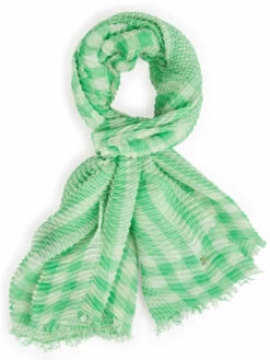 Marc Cain UC B4.03 Z10 Shawls Groen